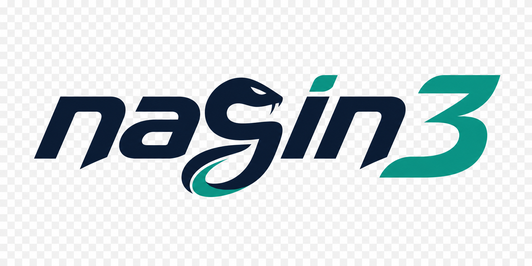 nagin3 logo